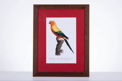 Cadre, passe-partout et image : qu'est-ce qui est beau ?