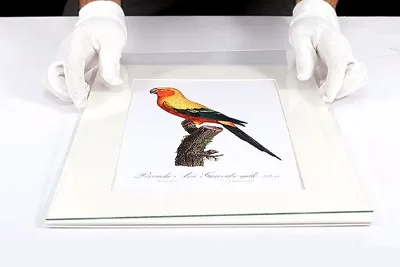 Encadrer les images suivant une conservation professionnelle